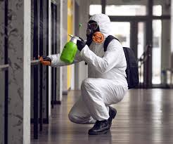 Best Mold Odor Removal Services  in Deer Park, TX